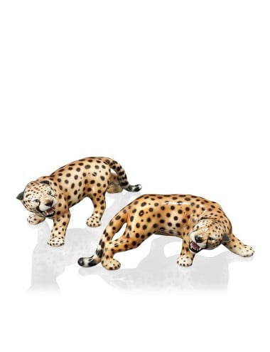 Cheetah Set 2 Pcs