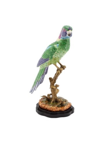 Parrot Atlantide